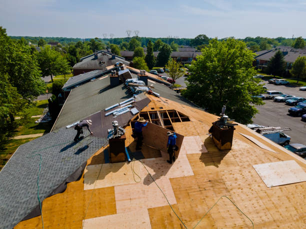 Best Storm Damage Roof Repair  in Anderson Island, WA