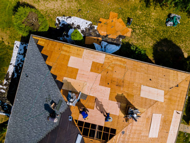 Best Roof Repair Specialists  in Anderson Island, WA