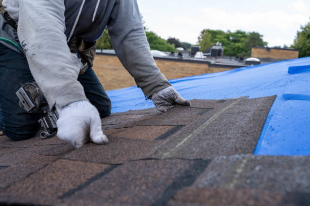 Best Roof Leak Repair  in Anderson Island, WA