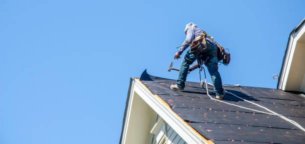 Best Metal Roofing Contractor  in Anderson Island, WA